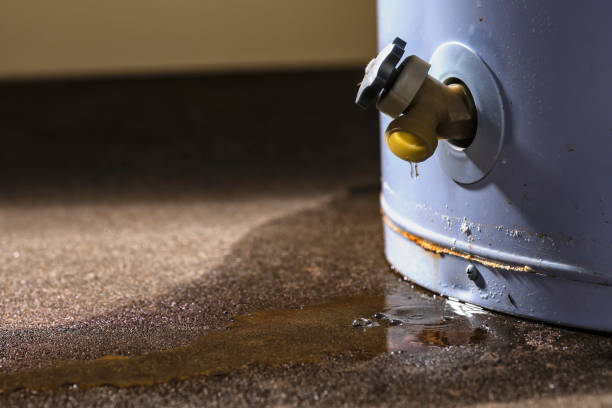 Best Sewage cleanup and water damage restoration  in Sa Conejo, CA