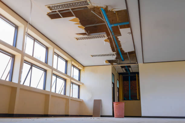Best Water damage contractors near me  in Sa Conejo, CA