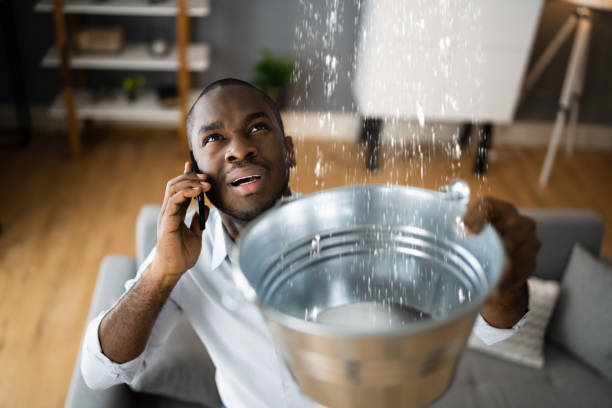 Best Ceiling water damage repair  in Sa Conejo, CA