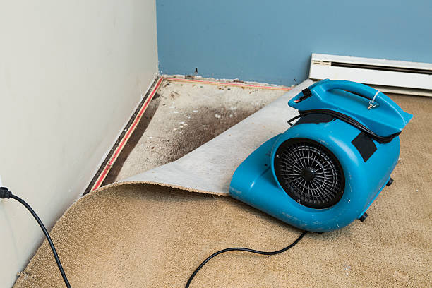 Best Professional water damage repair  in Sa Conejo, CA